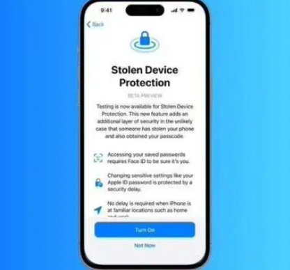 贺州苹果授权维修店分享被盗设备保护功能开启方法 