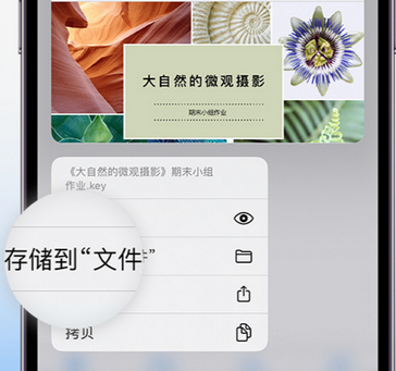 贺州apple维修中心分享iPhone文件应用中存储和找到下载文件