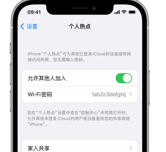 贺州apple服务站点分享iPhone上个人热点丢失了怎么办 