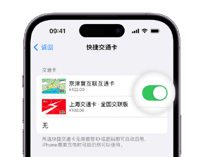 贺州apple维修点分享iPhone上更换Apple Pay快捷交通卡手绘卡面 