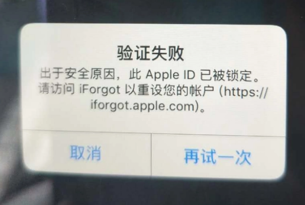 贺州iPhone维修分享iPhone上正常登录或使用AppleID怎么办 