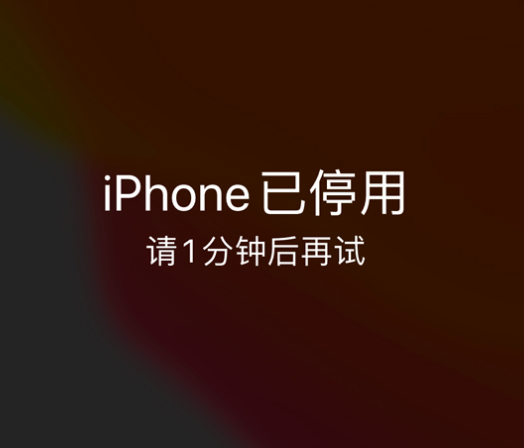 贺州苹果手机维修分享:iPhone 显示“不可用”或“已停用”怎么办？还能保留数据吗？ 