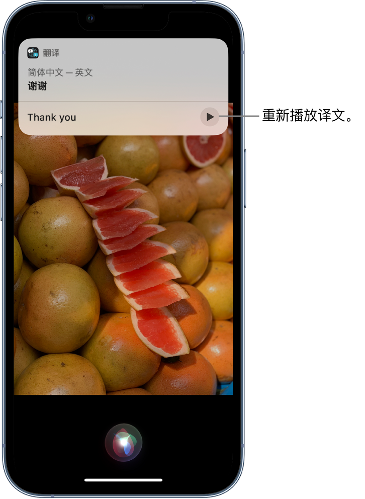 贺州苹果14维修分享 iPhone 14 机型中使用 Siri：了解 Siri 能帮你做什么 