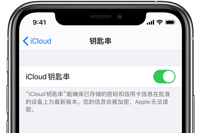 贺州苹果手机维修分享在 iPhone 上开启 iCloud 钥匙串之后会储存哪些信息 