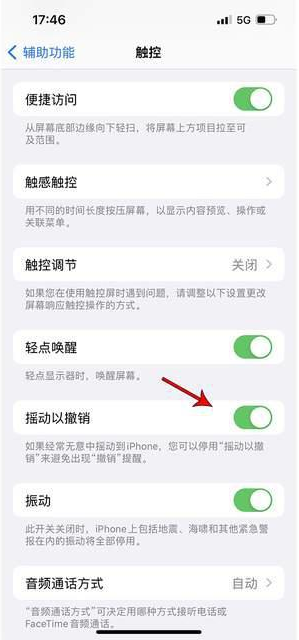 贺州苹果手机维修分享iPhone手机如何设置摇一摇删除文字 