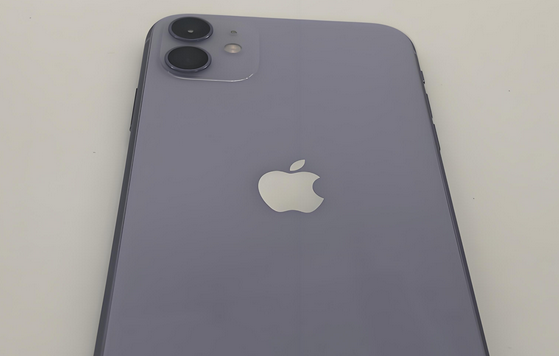 贺州苹果11系统维修分享iPhone11手机系统崩溃无法开机如何解决 