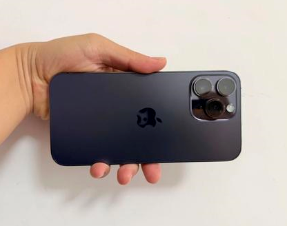 贺州苹果维修点分享iPhone 14 Pro Max发烫多重诱因剖析 